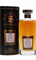 Clynelish 1990 / 32 Year Old / Signatory Highland Whisky